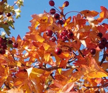 Reetz Apartamento | Ferienhaus Eifelperle