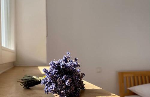 Grossenhain Casa | Ferienhaus - Ganzes Haus für Euch allein