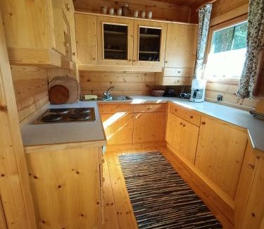 Stainach-Purgg Casa | Ferienhaus Hanni