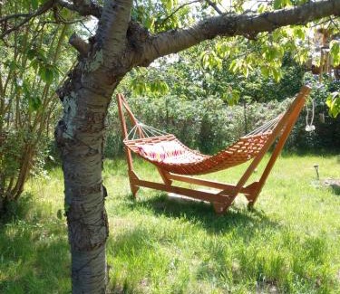 Bodstedt Casa | Ferienhaus Kranichhorst - Exklusiv-Nutzung mit großem Garten und Strandnähe
