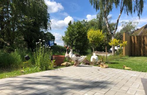 Barlt Apartamento | Ferienhaus Malte Büsch