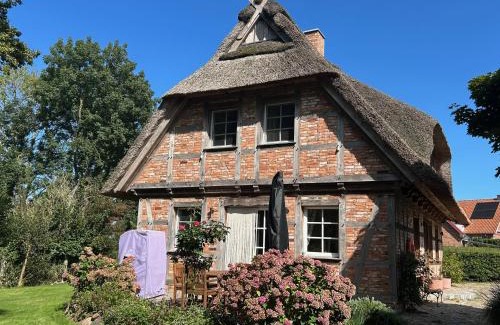 Rosenhagen Casa | Ferienhaus " To Huus " an der Ostsee, Sauna, Kamin, Strandkorb, free-W-LAN - SEASIDE -