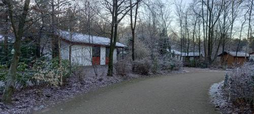 Getelo Casa | Ferienhaus Uelsen