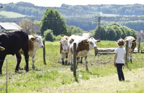 Gars Apartamento | Ferienhof Forstmoar