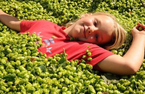 Bodnegg Casa | Ferienhof Hopfgärtle Müller