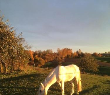 Salzweg Casa | Ferienhof Löw