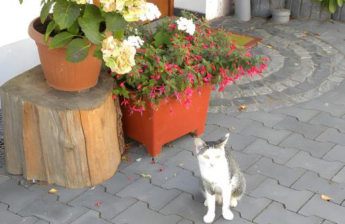 Helden Casa | Ferienhof Pulte