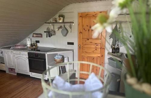 Hohenberg a.d.Eger Apartamento | Ferienwohnung Midsommar