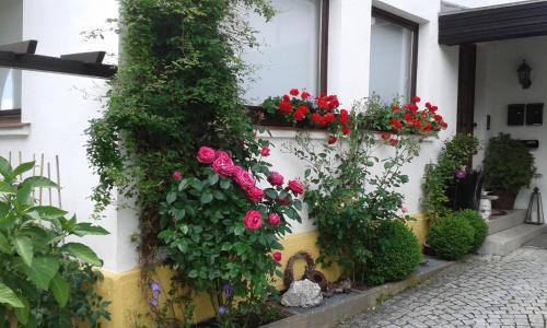 Berg Apartamento | Ferienwohnung "Am Eisenbühl"