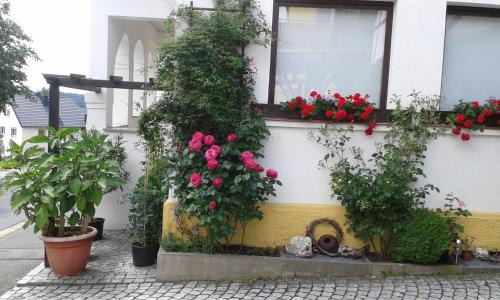 Berg Apartamento | Ferienwohnung "Am Eisenbühl"