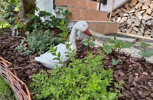 Garbmuhle Apartamento | Ferienwohnung Antonia