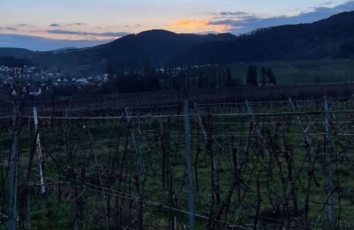 Klingenmuenster Apartamento | Ferienwohnung/app. für 4 Gäste mit 70m² in Klingenmünster