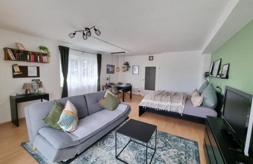 Bad Bergzabern Apartamento | Ferienwohnung Appartement Bad Bergzabern mit Schwimmbad und Sauna