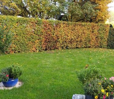 Nussdorf am Attersee Apartamento | Ferienwohnung Claudia mit Terrasse