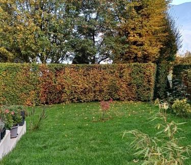 Nussdorf am Attersee Apartamento | Ferienwohnung Claudia mit Terrasse