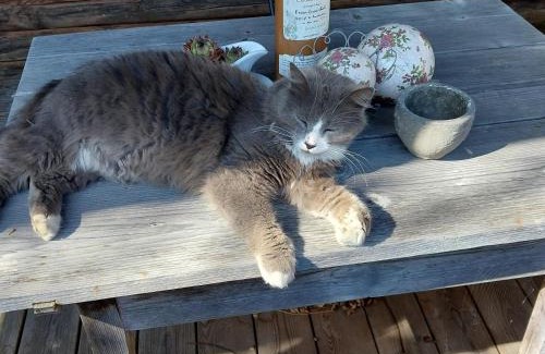 Flintsbach A. Inn Apartamento | Ferienwohnung Beim Straßer