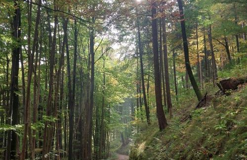 Flintsbach A. Inn Apartamento | Ferienwohnung Beim Straßer