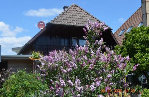 Gutach Apartamento | Ferienwohnung Beim Holzmann