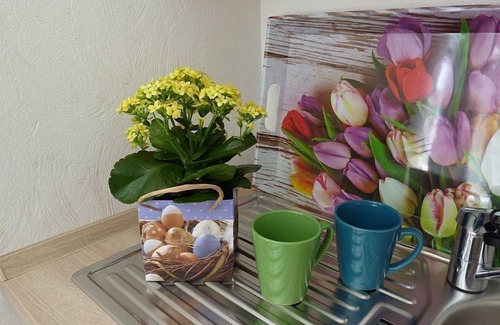 Untermunstertal Apartamento | Apartamento Belchenblick, 45 m², 1 dormitorio, max. 2 personas