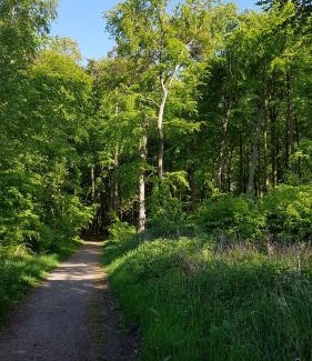 Seeheilbad Graal-Muritz Apartamento | Ferienwohnung Bischof Nord