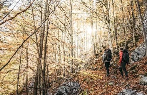 Rossleithen Apartamento | Ferienwohnung Blick ins Grüne