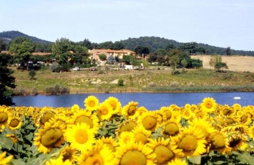 Casole d'Elsa Apartamento | Ferienwohnung für 4 Personen 1 Kind ca 80 qm in Pievescola, Toskana Provinz Siena