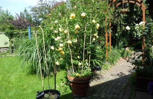 Friedrichshagen Apartamento | Ferienwohnung Friedrichshagen