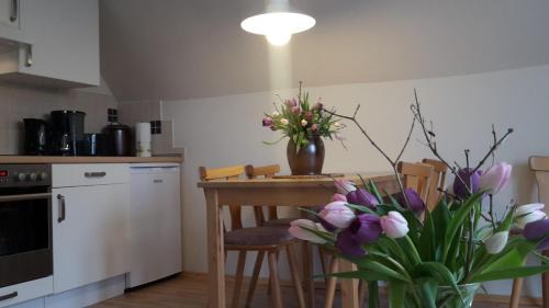 Ostrau Apartamento | Ferienwohnung Geißler