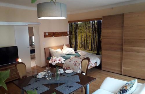Teisendorf Apartamento | Ferienwohnung historisches Teisendorf