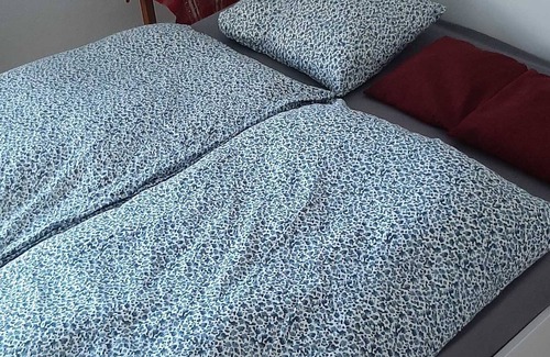 Sabel Apartamento | Ferienwohnung im Zanderhaus