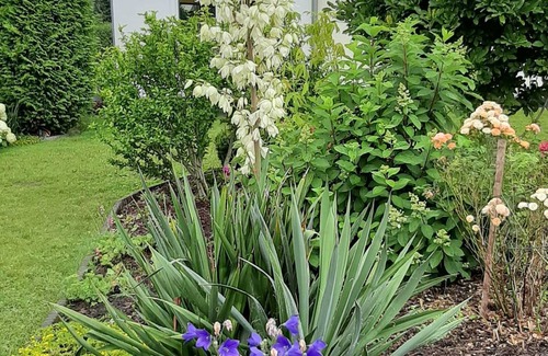 Sabel Apartamento | Ferienwohnung im Zanderhaus