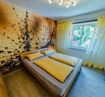 Schwarzwald Apartamento | Ferienwohnung Luisenthal