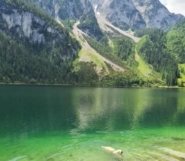 Bad Goisern Apartamento | Ferienwohnung Margareta