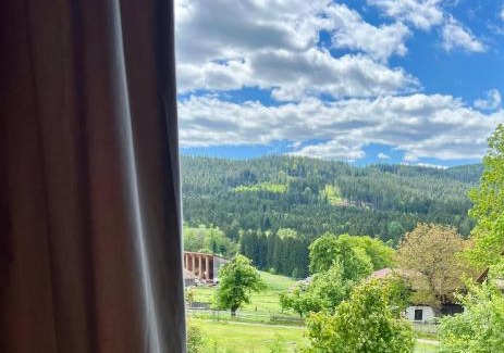 Mais Apartamento | Ferienwohnung mitten im bayrischen Wald