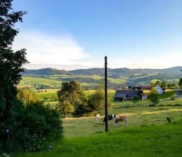 Gersfeld Apartamento | Ferienwohnung Rhönpanorama