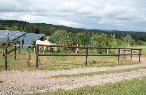 Nettersheim Apartamento | Ferienwohnung Roderath