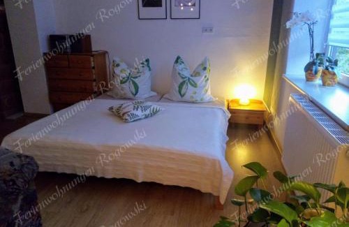 Breitenbrunn/Erzgeb. Apartamento | Ferienwohnung Rogowski
