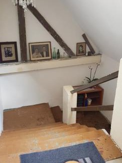 Pirna Apartamento | Ferienwohnung Salamander