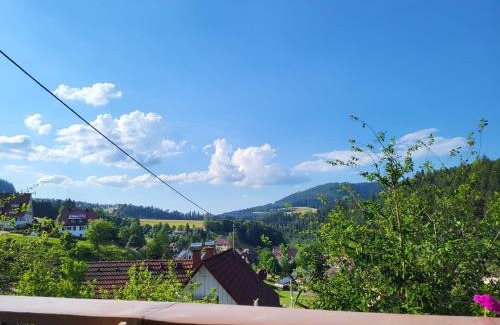 Huzenbach Apartamento | Ferienwohnung Schwarzwaldglück