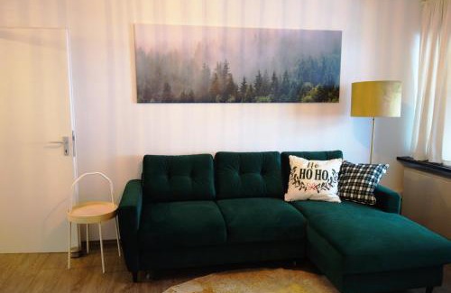 Tonbach Apartamento | Ferienwohnung Schwarzwaldgrund