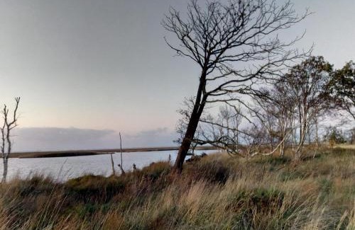 Sehestedt Apartamento | Ferienwohnung Seeschwalbe B