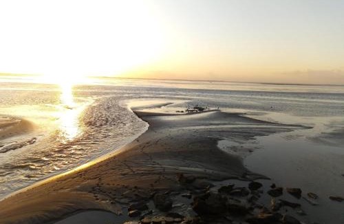 Sehestedt Apartamento | Ferienwohnung Seeschwalbe B