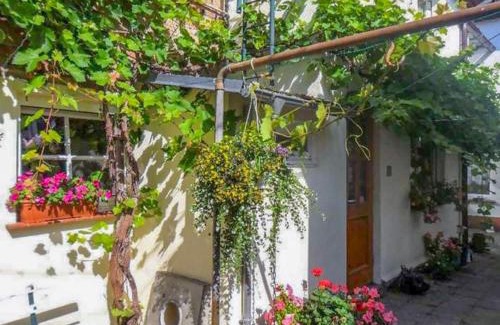 Bad Sulze Apartamento | Ferienwohnung Socolowsky