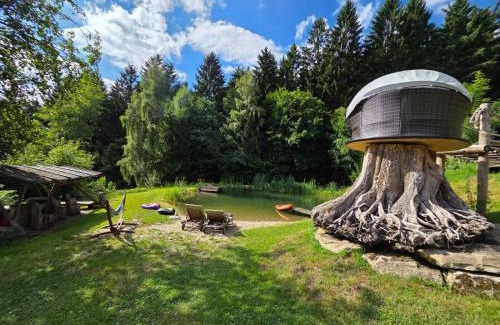 Maibrunn Apartamento | Ferienwohnung Waldidyll