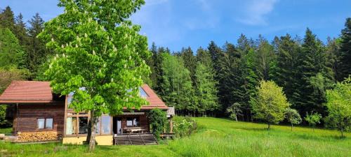 Maibrunn Apartamento | Ferienwohnung Waldidyll