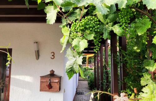 Mainz-Bingen Apartamento | Ferienwohnung Weingarten