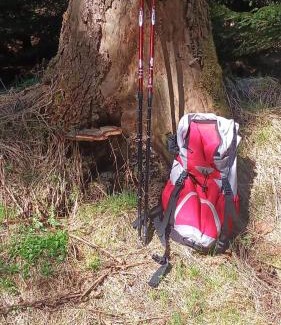 Breitenbrunn/Erzgeb. Apartamento | Ferienwohnungen Börnert am "Klingerbach"