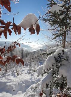 Elpe Apartamento | Ferienwohnungen Eismecke