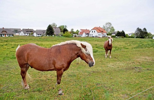 Hiddensee Casa | Ferienwohnungen Plogshagen Hiddens