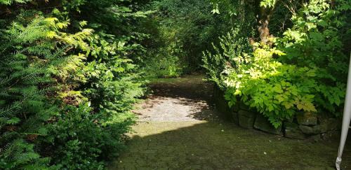 Wildemann Apartamento | Ferienwohnungen-Waldblick-Wohnung-1